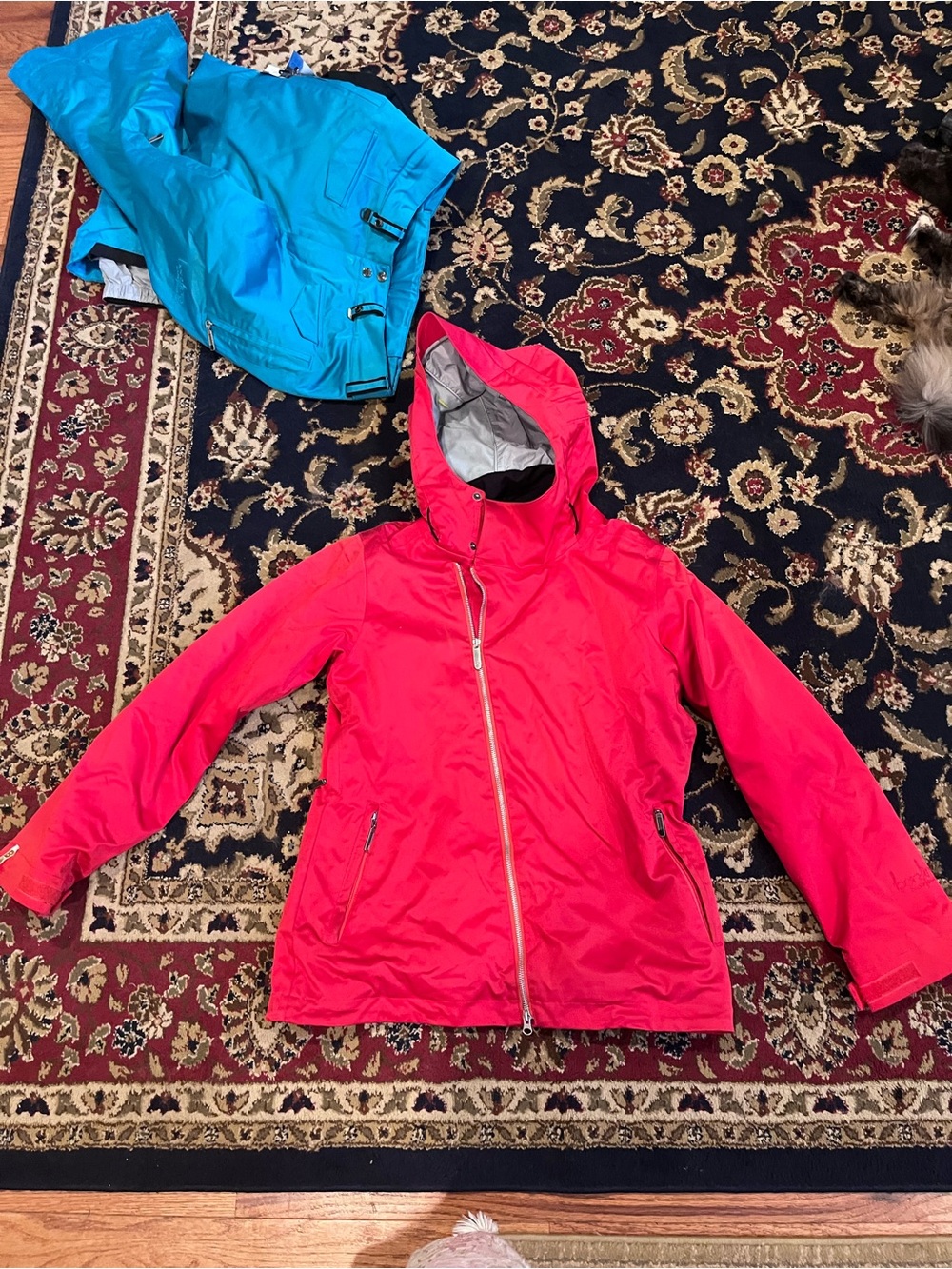 Women's Hooded Ski Jacket in Bright Pink